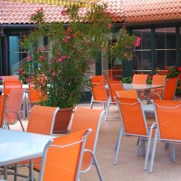 Bacchus Panzió Eger - Medence/kert