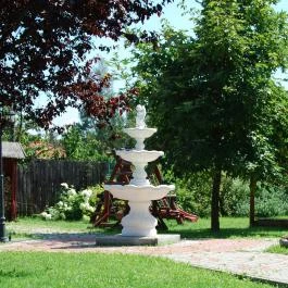 Bacchus Panzió Eger - Medence/kert