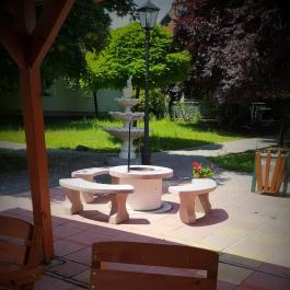 Bacchus Panzió Eger - Medence/kert