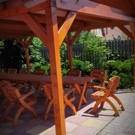 Bacchus Panzió Eger - Medence/kert