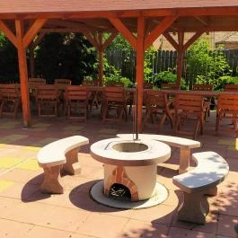 Bacchus Panzió Eger - Medence/kert