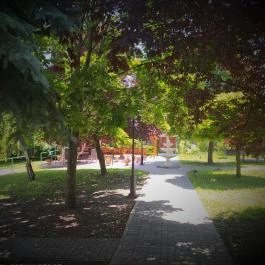 Bacchus Panzió Eger - Medence/kert