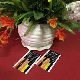 Csillag Apartman Eger - Egyéb