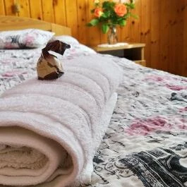 Csobogó Vendégház Eger - Egyéb