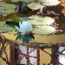 Donát Vendégház Eger - Egyéb