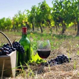 Dudás Vendégház & Zen House Eger - Egyéb