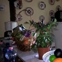 Dudás Vendégház Eger - Vendéglátás