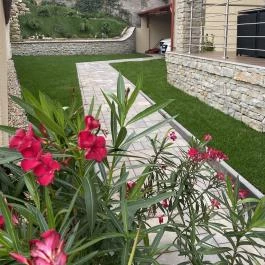 Excellence Apartmanok Eger - Medence/kert