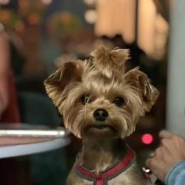 Flamingo Rezidencia Apartman Eger - Egyéb