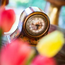 Green Park Villa Wellness & Tréning Eger - Egyéb