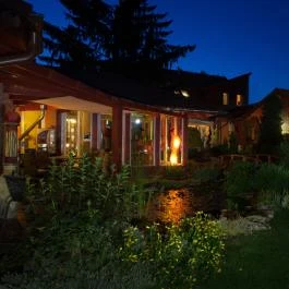 Green Park Villa Wellness & Tréning Eger - Medence/kert