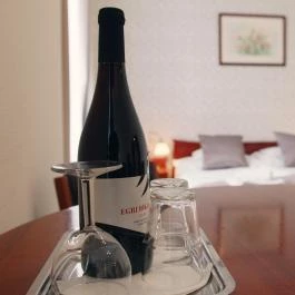 Aqua Villa Eger Eger - Szobák