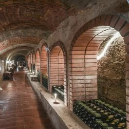 Hotel Korona Wellness, Rendezvény & Borhotel Eger Eger - Vendéglátás