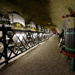 Hotel Korona Wellness, Rendezvény & Borhotel Eger Eger - Vendéglátás