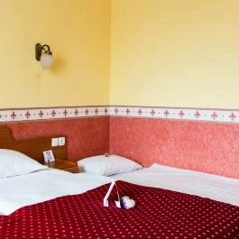 Hotel Korona Wellness, Rendezvény & Borhotel Eger Eger - Egyéb