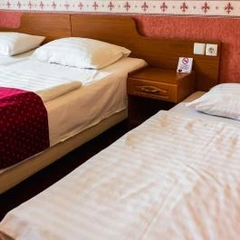 Hotel Korona Wellness, Rendezvény & Borhotel Eger Eger - Egyéb