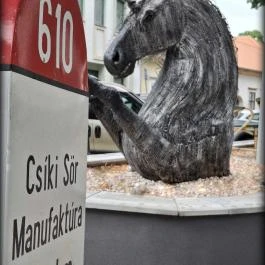 Hotel Unicornis Eger - Egyéb