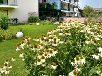 Imola Hotel Platán Eger