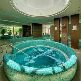 Imola Hotel Platán Eger - Wellness