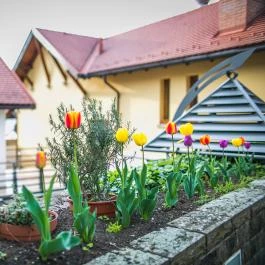 Imola Udvarház Eger - Medence/kert