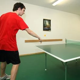 Invest Apartmanok Eger - Szórakozás/Sport