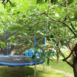 Kedves Vendégház Eger - Szórakozás/Sport