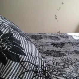 Kristály Apartman Eger - Szobák