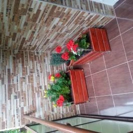 M&D Apartmanház Eger - Medence/kert