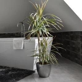 Marienka Panzió Eger - Szobák