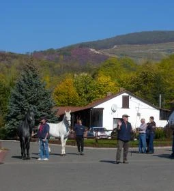 Mátyus Udvarház Kengyel Fogadó
