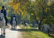 Mátyus Udvarház Kengyel Fogadó Eger