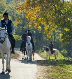 Mátyus Udvarház Kengyel Fogadó