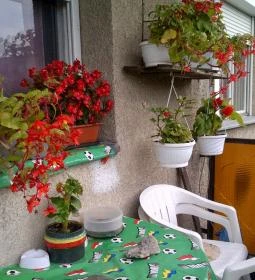 Minaret Vendégszoba