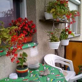 Minaret Vendégszoba Eger - Egyéb