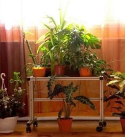 Minaret Vendégszoba