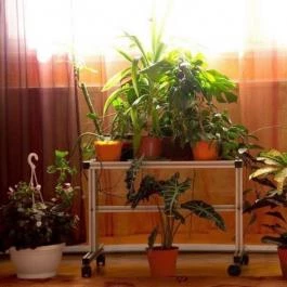 Minaret Vendégszoba Eger - Egyéb