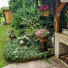 Siesta Vendégház Eger - Medence/kert