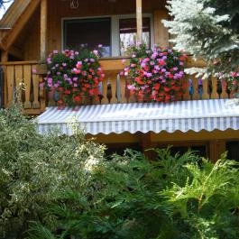 Siesta Vendégház Eger - Medence/kert