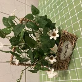 Susy Apartman Eger Eger - Egyéb