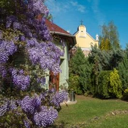 Szent István Hotel Eger - Medence/kert