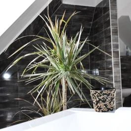 Végvári Hotel Eger Eger - Szobák