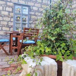 Villa Florencia Eger - Medence/kert