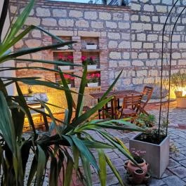 Villa Florencia Eger - Medence/kert