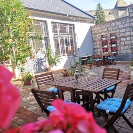 Villa Florencia Eger - Medence/kert