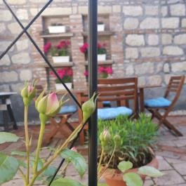 Villa Florencia Eger - Medence/kert