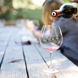 Villa Panoráma Eger Eger - Vendéglátás