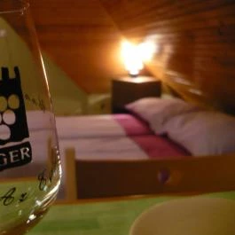 Violetta Vendégház Eger - Egyéb