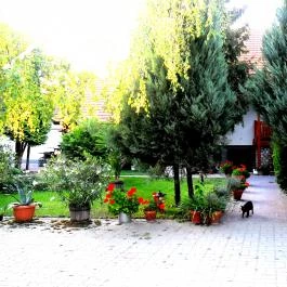 Violetta Vendégház Eger - Külső kép