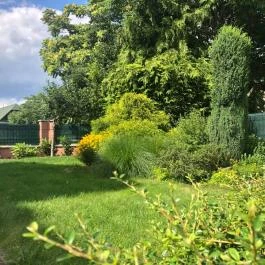 Vitkovics Apartmanok Eger - Egyéb