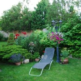 Welcome Vendégház Eger - Medence/kert